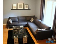 3 1/2 metro Frontenac semi-meublé avec patio + cour privée