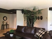 41/2 à louer Québec : université Laval à proximité